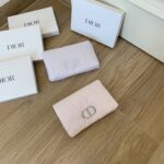 DIOR バレンタイン限定 ポーチ 20*12cm - 画像 (2)