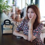 DIOR 夏ショルダーバック 20*19*19CM