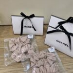 CHANEL cocoシュシュ ノベルティ ケース付き 2点セット
