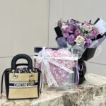 DIOR 夏ショルダーバック 20*19*19CM - 画像 (5)
