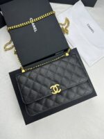 Chanel チェーンウォレット 33818 19*12*4cm - 画像 (22)