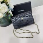 Chanel チェーンウォレット ケース付き 666 19*12*4cm