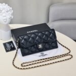 Chanel チェーンウォレット ケース付き 50076 - 画像 (15)