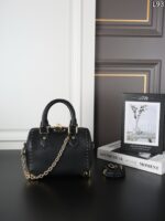 LV SpeedyTrunk 枕バック ケース付き 25*19cm 20*14cm - 画像 (8)