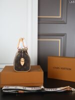 LV Speedy20 枕バック ケース付き 20*15cm - 画像 (5)