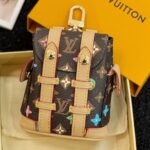 LV Mini Palm Springs キーホルダー ケース付き - 画像 (9)