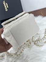 CHANEL リュック ノベルティ ケース付き - 画像 (6)