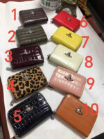 Vivienne Westwood カードいれ カードケース ケース付き 11*2.58cm
