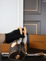 LV Speedy20 枕バック ケース付き 20*15cm - 画像 (6)