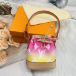 LV Micro Noe キーホルダー ケース付き - 画像 (6)