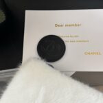 CHANEL 収納袋 ノベルティ 33*24cm - 画像 (7)