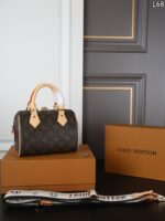 LV Speedy20 枕バック ケース付き 20*15cm - 画像 (8)