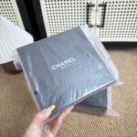 CHANEL  ショルダーバック ノベルティ ケース付き 14*4.5*18cm - 画像 (12)