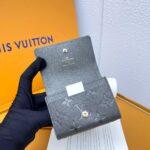 LOUIS VUITTON カード入れ カードケース ケース付き 12177 - 画像 (4)