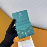 LOUIS VUITTON 二つ折り財布 長財布 カード入れ パスポートケース ケース付き M12664 - 画像 (5)