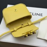 CELINE miniチェーンウォレット ケース付き 10I513 11*8*4cm - 画像 (4)