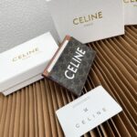 CELINE カード入れ ケース付き 10702 11*7cm - 画像 (18)