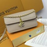 LV 長財布 チェーンウォレット ケース付き M14547 20*4*11.56cm - 画像 (10)