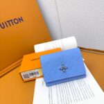 LOUIS VUITTON カード入れ カードケース ケース付き 12177 - 画像 (8)