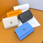 LOUIS VUITTON カード入れ カードケース ケース付き 12177