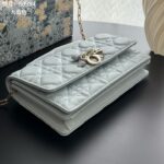DIOR チェーンウォレット 二つ折り財布 ケース付き S0984 21*11*5cm - 画像 (23)