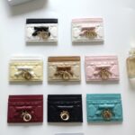 DIOR カード入れ ケース付き S2604  0.5*8*10.5cm