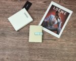 LOEWE 二つ折り財布 ケース付き L1120 14*10*3cm - 画像 (29)