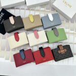 LOEWE 名刺入れ カードケース  ケース付き10639 11*7cm