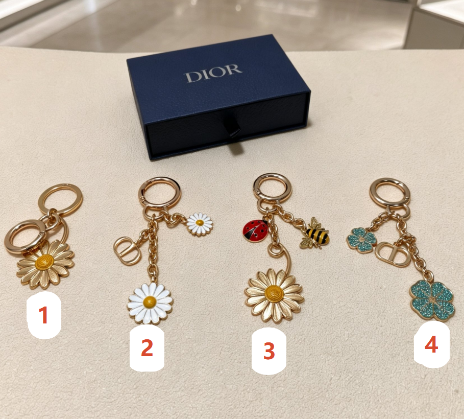 0ff3875a-e276-4f2f-ba68-eef2af83257c DIOR キーホルダー - 画像 (1)
