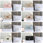 DIOR My Dior ショルダーバッグ ケース付き 21*11cm