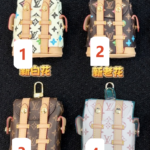 LV Mini Palm Springs キーホルダー ケース付き