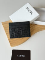LOEWE カードケース ケース付き L1145 10*7.5cm - 画像 (3)