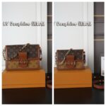 LV Dauphine 肩掛けバッグ ショルダーあり ケース付き 25*18cm 20*15cm