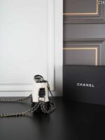 CHANEL Gabrielle 19A 水筒バック ケース付き 20*16cm - 画像 (5)