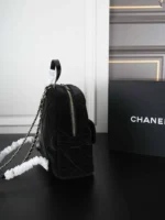 CHANEL NEIGE 25N リュック ケース付き 25*24cm - 画像 (5)