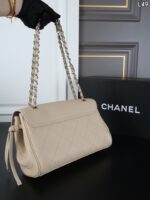 CHANEL 25B 肩掛けバッグ ケース付き 29*19cm - 画像 (10)