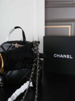 CHANEL NEIGE 25N リュック ケース付き 25*24cm - 画像 (14)