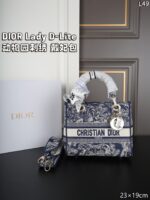DIOR Lady D-Lite 2024 刺繡 ショルダーバック ケース付き 23*19cm - 画像 (13)