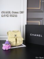 CHANEL Duma 23P キャビア リュック ケース付き 19*19cm - 画像 (7)