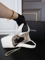 Chanel 26 Hoboバック ケース付き 18*13.5cm 21*16.5cm - 画像 (11)
