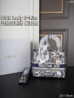 DIOR Lady D-Lite 2024 刺繡 ショルダーバック ケース付き 23*19cm - 画像 (6)