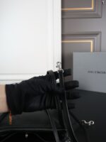 Balenciaga Rodeo 肩掛けバッグ ショルダーバッグ ケース付き 22*13cm - 画像 (8)