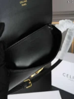 CELINE Triomphe ショルダーバック ケース付き 20.5*12CM - 画像 (10)