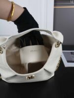 CHANEL HOBO 26C ハンドバッグ ショルダーバック ケース付き 24*22cm - 画像 (13)