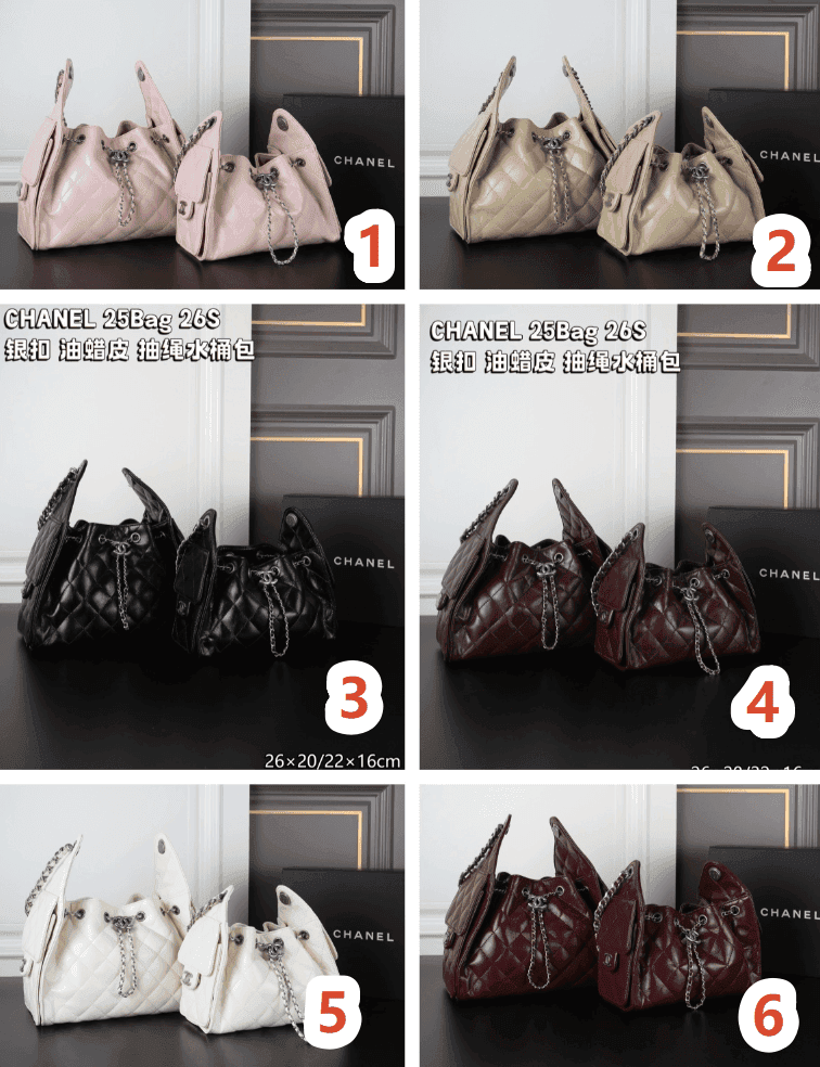 PixPin_2026-08-03_16-37-30 CHANEL 25Bag 26S ショルダーバック ケース付き 22*16cm 26*20cm - 画像 (1)